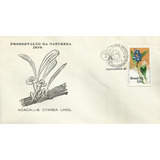 Brasil 1976 Fdc Carimbo