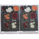 Brasil 2 Blocos Rosas