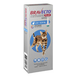 Bravecto Plus Gatos Transdermal De 2 8 A 6 25 Kg   250 Mg
