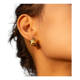 Brinco Aco Cirurgico 18k