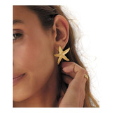 Brinco Aco Cirurgico 18k