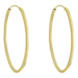 Brinco Argola 20 Mm
