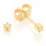 Brinco Banhado Ouro Florzinha