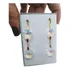 Brinco Cristal Swarovski Duas Castanhas Folheado A Ouro 18k