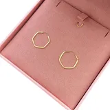 Brinco Ouro Feminino Argola