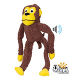 Brinquedo Mordedor Pelucia Macaco