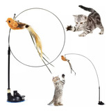 Brinquedo Passarinho Para Gato
