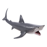 Brinquedos Para Animais Marinhos