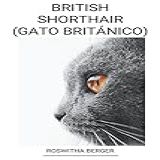 British Shorthair Gato Britanico