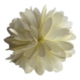 Broche Evangelico Tam 8
