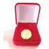 Broche Psicologia Folheado A Ouro Com Caixinha De Veludo!