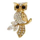Broche Strass Coruja Brg0045