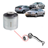 Bucha Braco Superior Dianr