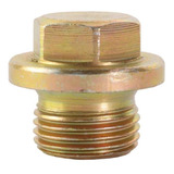 Bujao Carter Motor Para