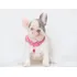 Bulldog Frances Filhote Blue Canil Minion Bull