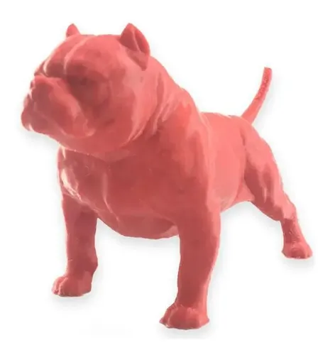 Bully Vermelho Americano Para
