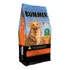 Bummer Ração Cães Adulto All Day Frango 15kg