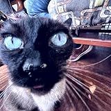 Buster