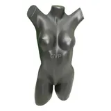 Busto Feminino Claudia Raia