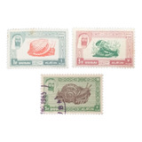 C9107 Dubai