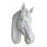 Cabeca De Cavalo Em