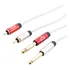 Cabo 2 X P10 Para 2 Rca 2m Stereo Banhado A Ouro Audio Pro