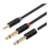 Cabo Audio Estéreo P2 Para 2 P10 Mono 3m S. Wieler