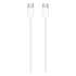 Cabo Branco Apple Com Entrada Usb Tipo C Saída C