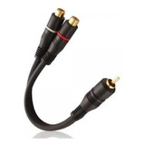 Cabo De Audio Y
