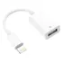 Cabo Otg Ios Adaptador Pen Drive Usb Lightning Passa Dados
