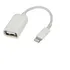 Cabo Otg Usb Compatível Com iPhone E iPad Pendrive Teclado