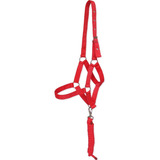 Cabresto De Fita Profissional