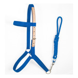 Cabresto Em Fita Nylon Cavalo Montaria Equinos Varias Cores