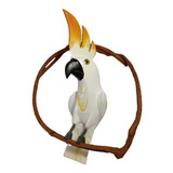 Cacatua Jardim