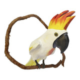 Cacatua No Cipo Passaro