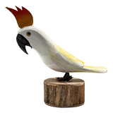 Cacatua Passaro Em Madeira