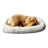 Cachorro Cão Golden Realista De Pelúcia Dormindo Respirando 