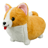 Cachorro Corgis Com Lingua