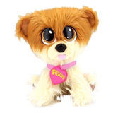 Cachorro De Pelucia Adota