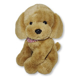 Cachorro De Pelucia Poodle
