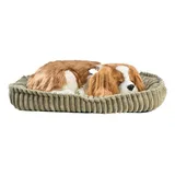 Cachorro Filhote Pelucia Perfect