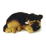 Cachorro Filhote Pelucia Perfect
