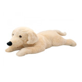 Cachorro Labrador Bege Deitado