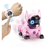 Cachorro Robo De Controle