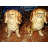 Cachorros De Porcelana - Pekingese - Bibelôs(preço Unitário)