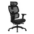 Cadeira De Escritório Ergonômica Elements Siggy Preta