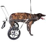 Cadeira De Rodas Para Cachorro De Grande Porte Pet Best Soluções