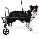Cadeira De Rodas Para Cachorro De Médio Grande Porte 15 A 30 Kg Pet Best Soluções