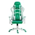 Cadeira Gamer Mx5 Giratória Branco E Verde - Mymax Material Do Estofamento Couro Sintético