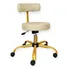 Cadeira Mocho Slim Para Clínicas Com Base Giratória Dourada Estrutura Dourado Assento Pérola